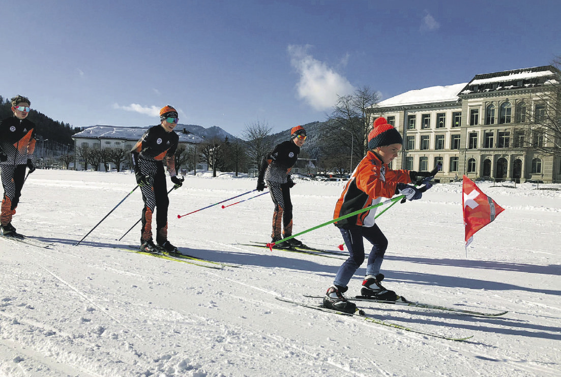 Siitonen, Doppelstock und Skating