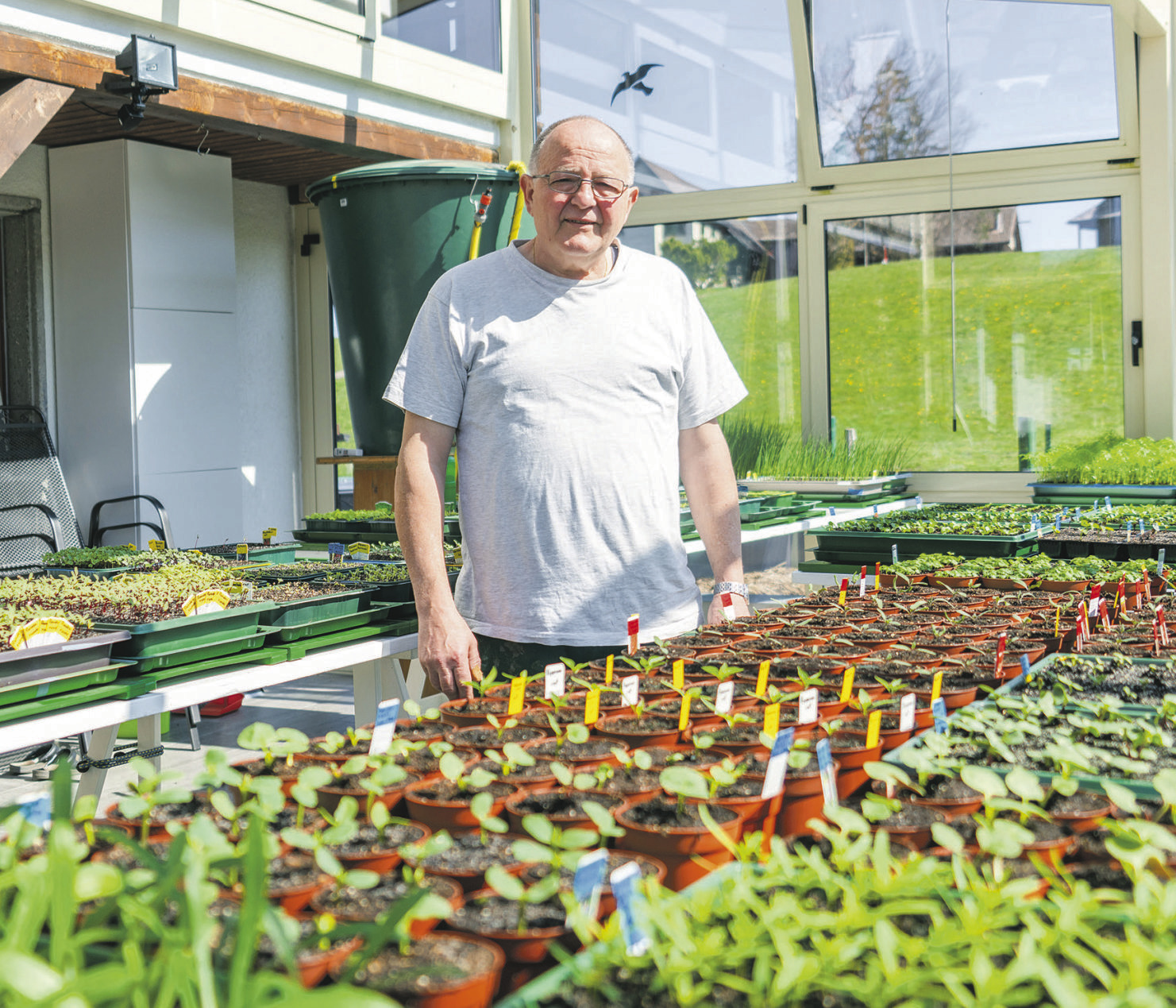 «Ich muss meinen Garten besonders gut schützen»