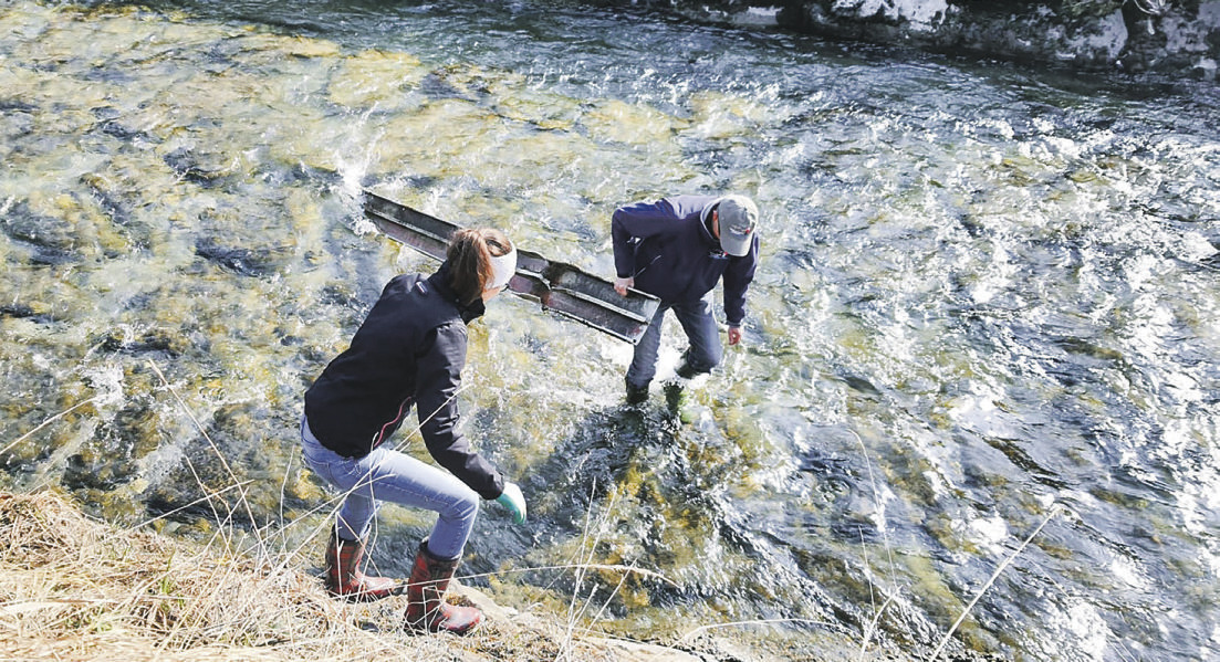 Gross und Klein im Einsatz für ein sauberes Sihlseeufer