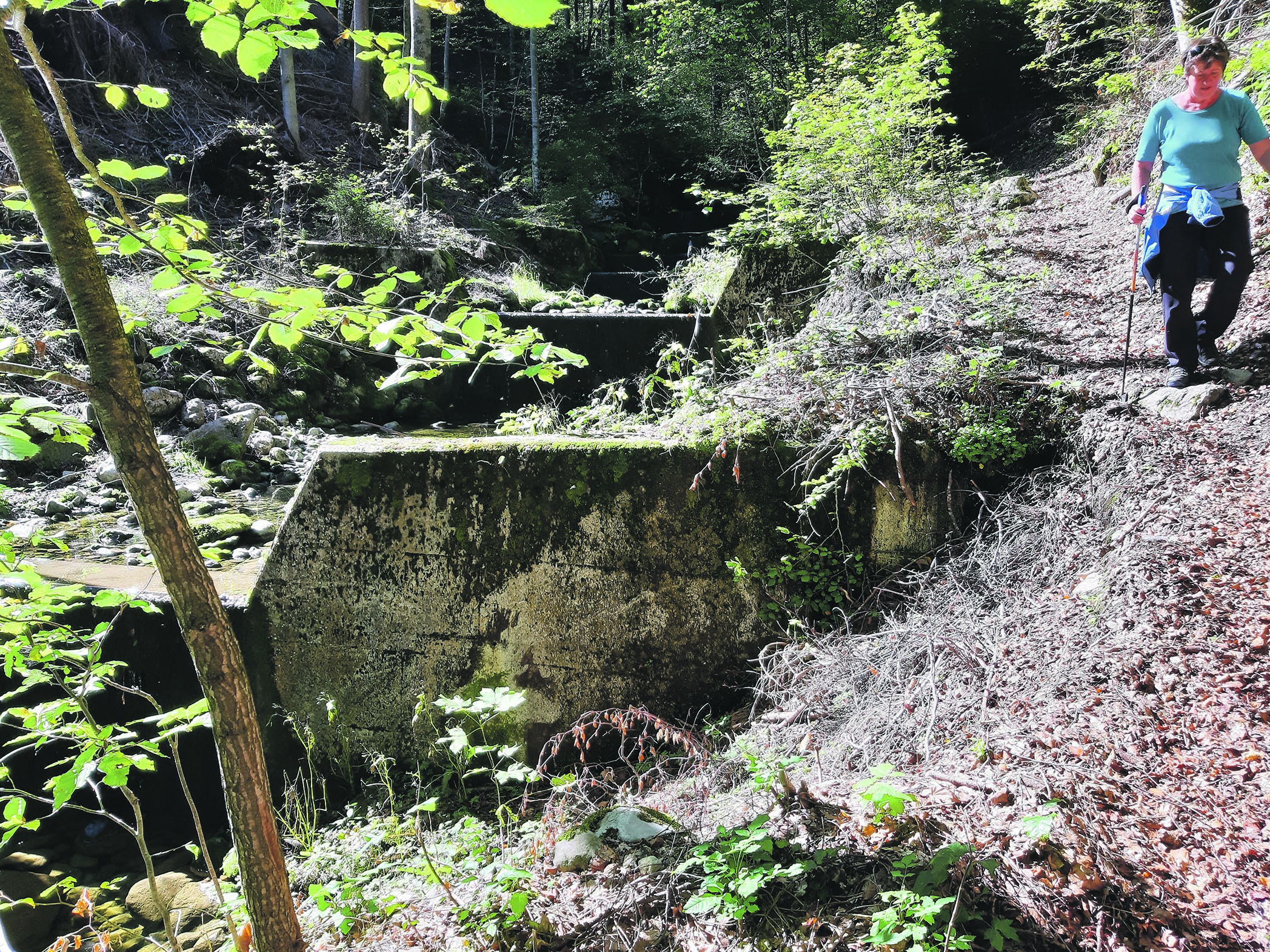 Unteriberg und Oberiberg suchen einen neuen Bike-Wander-Weg – heute lesen, was morgen im EA steht