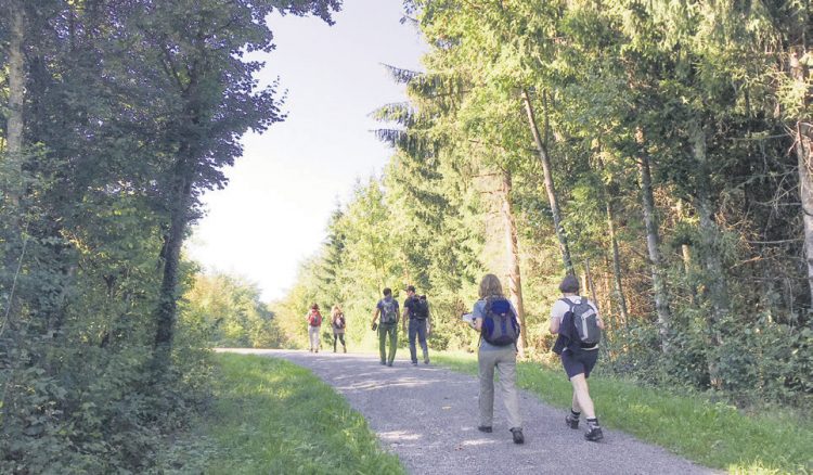 Herbst zur beruflichen  Orientierung nutzen