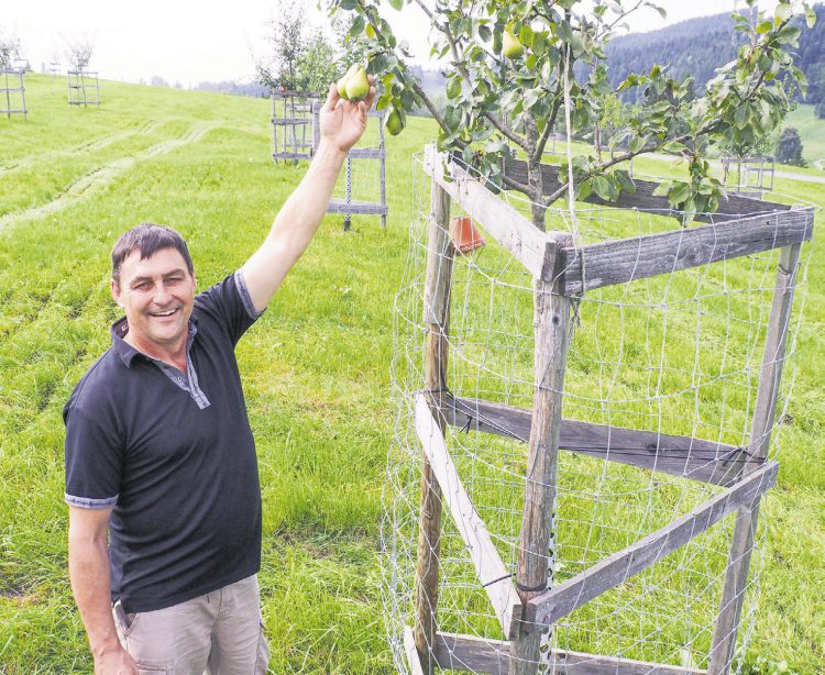 Rolf Dettling: «Mein Ziel ist, die eigenen Früchte zu veredeln»