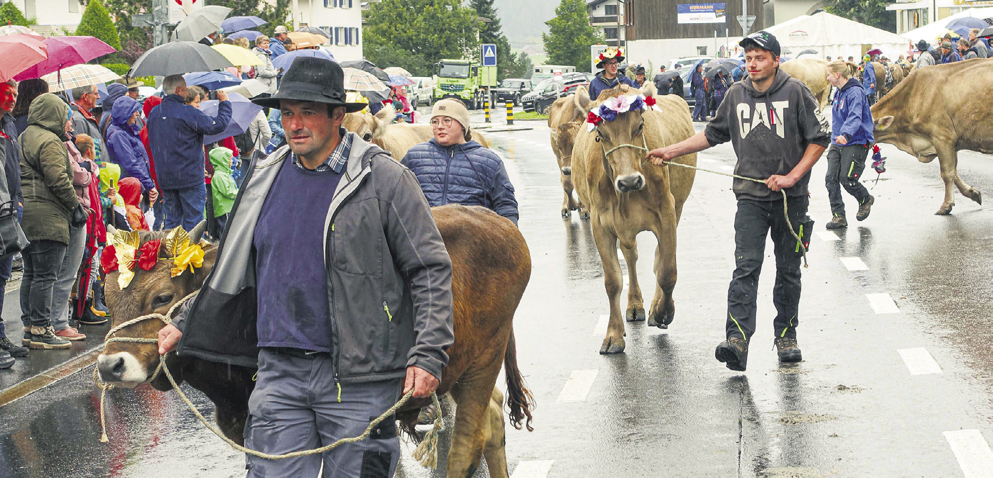 Ranglisten der 62. Zucht- und Nutzviehschau   in Rothenthurm