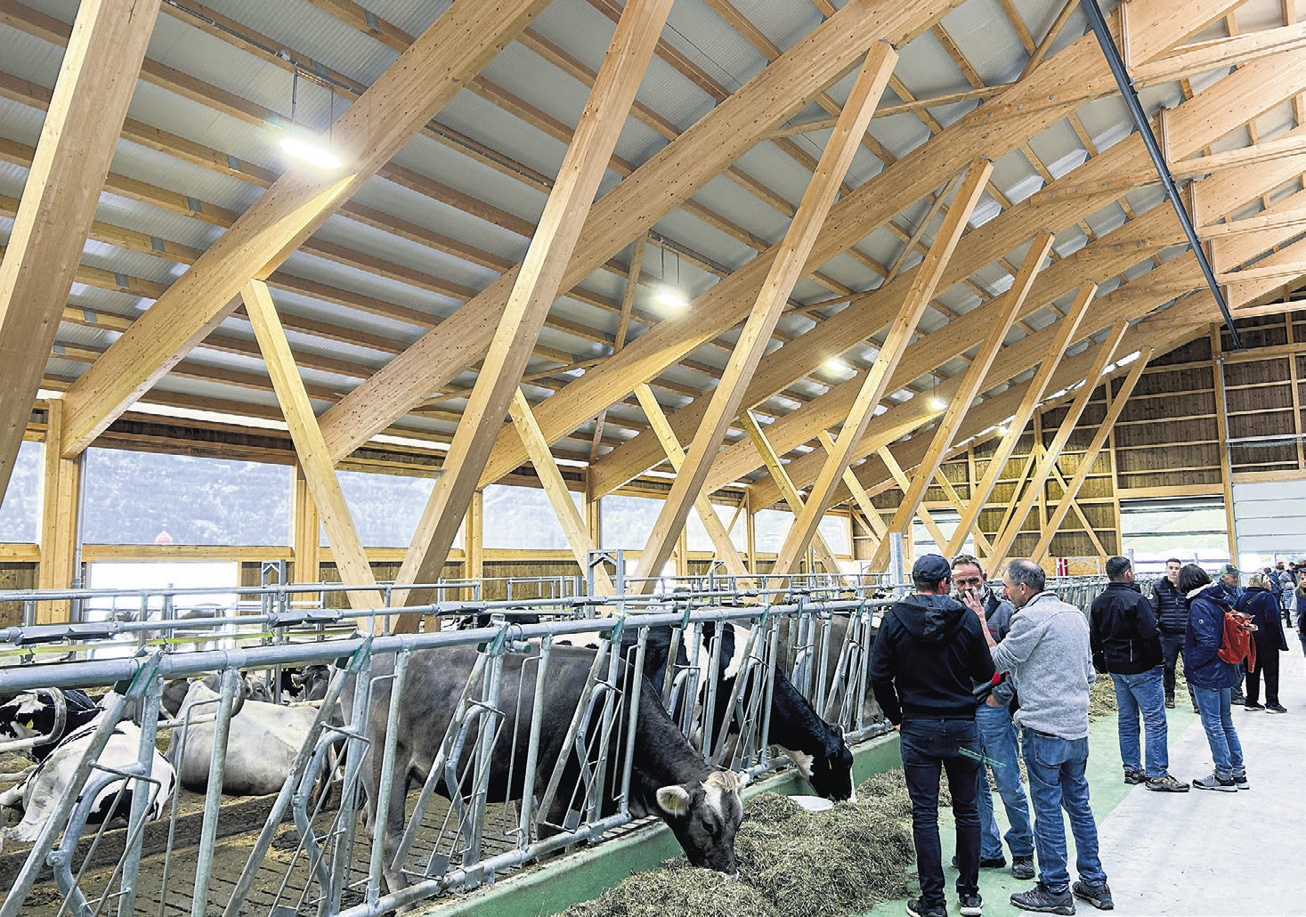 Erfolg am Tag der offenen Stalltür in Euthal und auf dem Katzenstrick