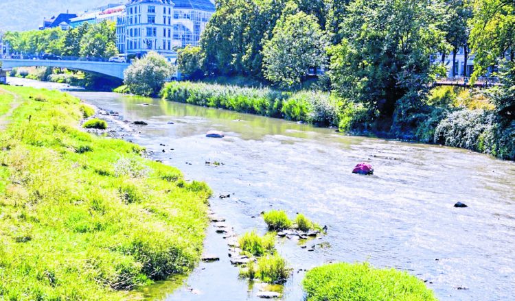 «Die Sihl bewegt mich schon  mein ganzes Leben lang»